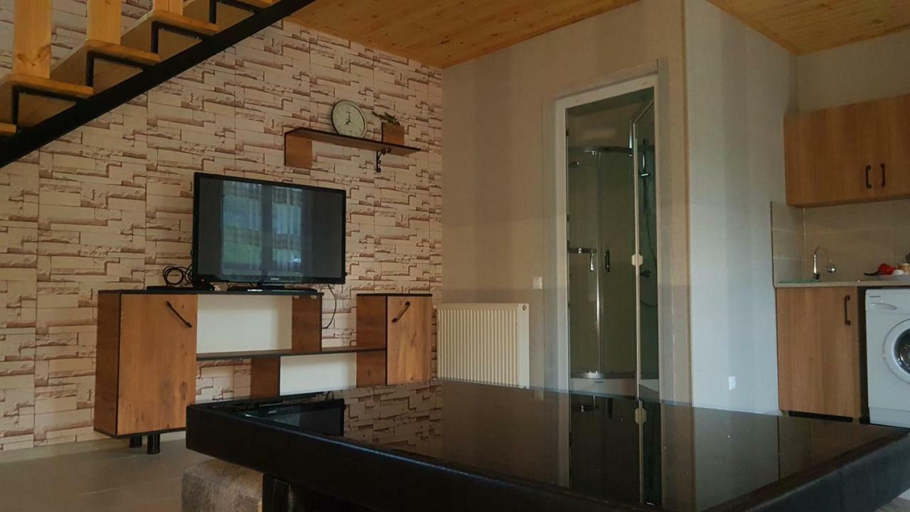 Levani's Cottage Bordjomi Extérieur photo